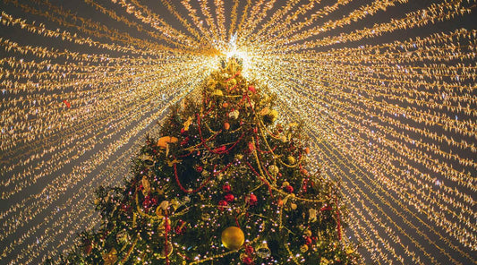 A beautifully decorated Christmas tree illuminated with twinkling light, highlights how important going sustainable this Christmas