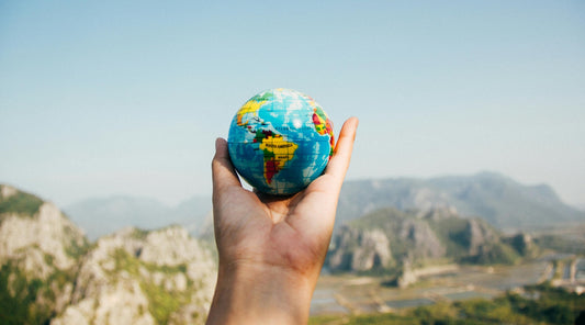 A person holding a globe in their hand, emphasizing the need for sustainable practices, such as using biodegradable bags to protect our planet