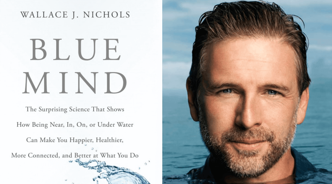 Blue Mind by Wallace J and Our Deep Bond with Water