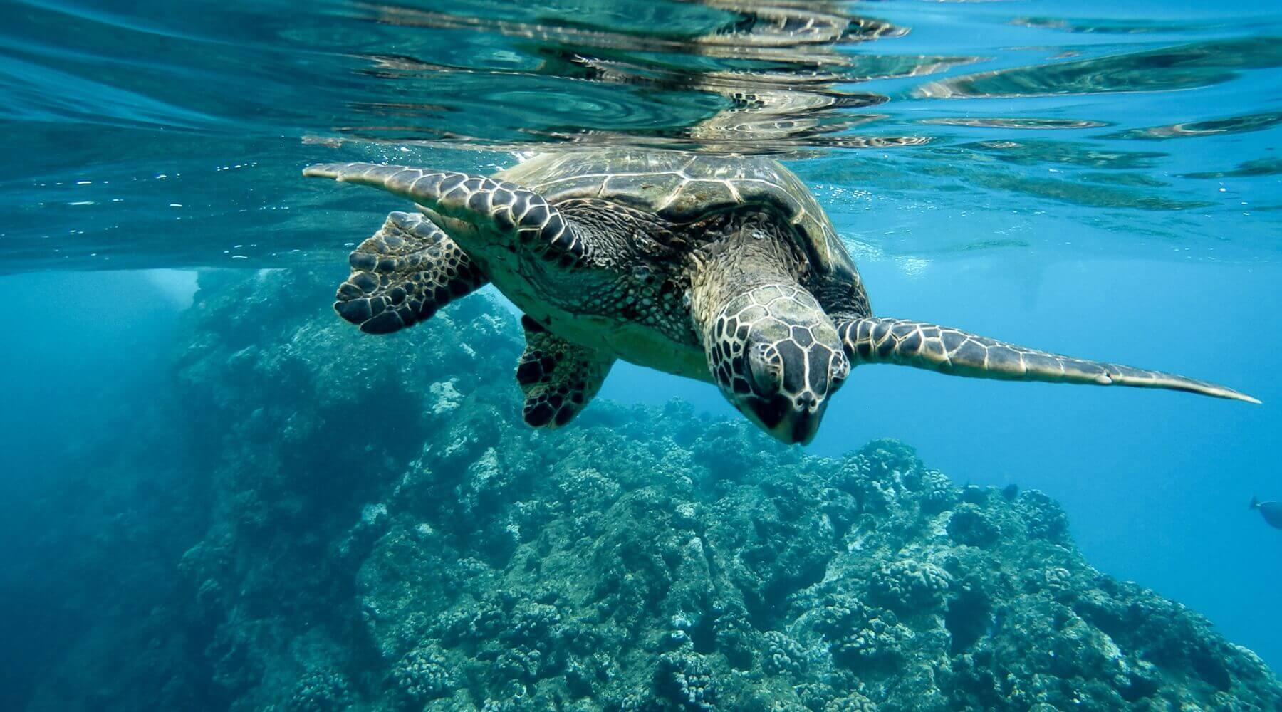 If It Doesn’t Last, It’s Not Sustainable! – Shaka Love