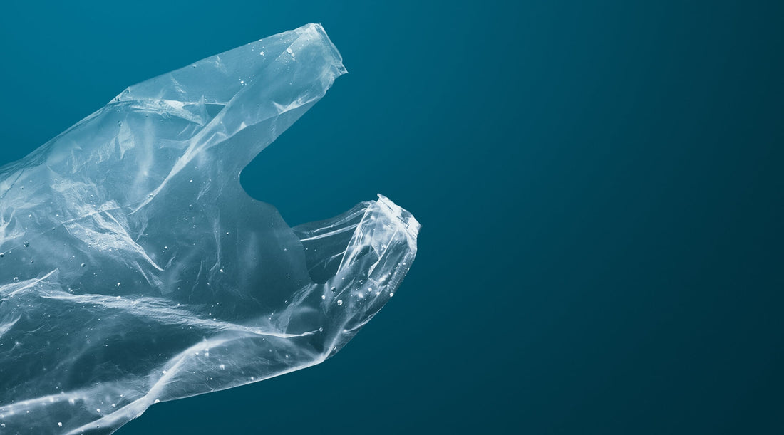 a plastic bag floating in the ocean, polluting the environment