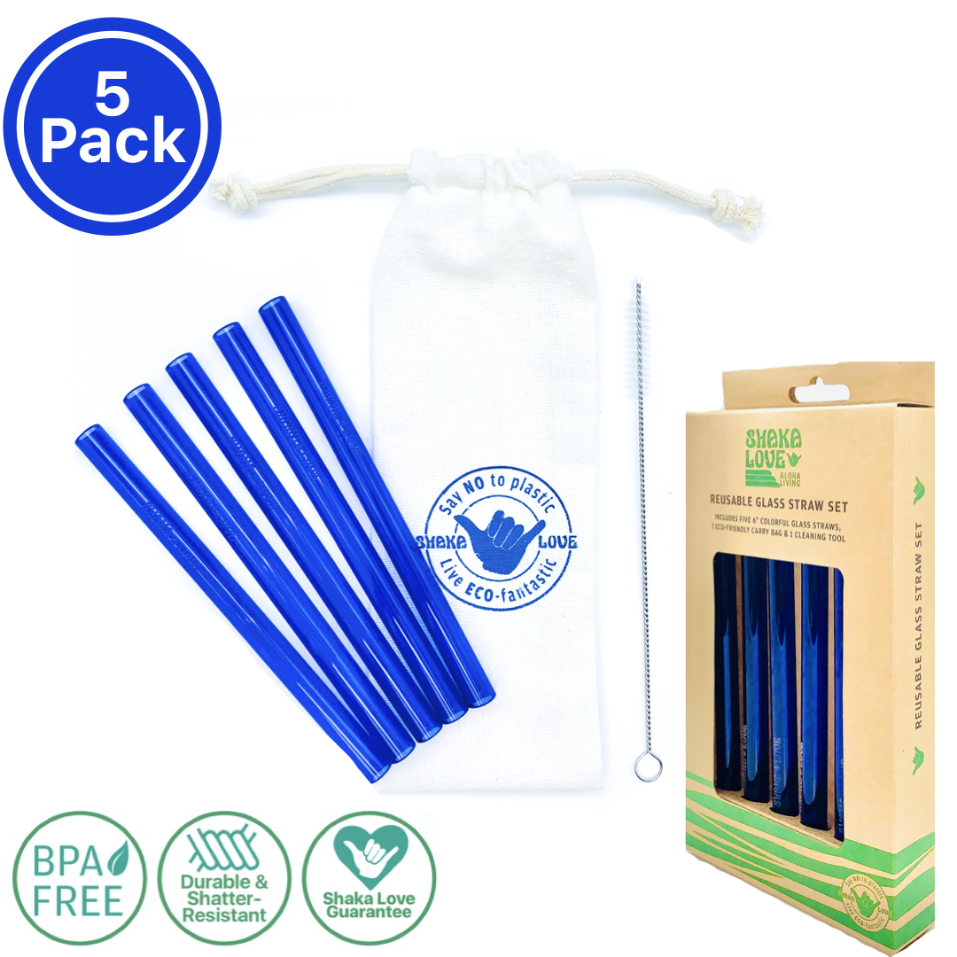 Glass Straw Set - Crystal Clear