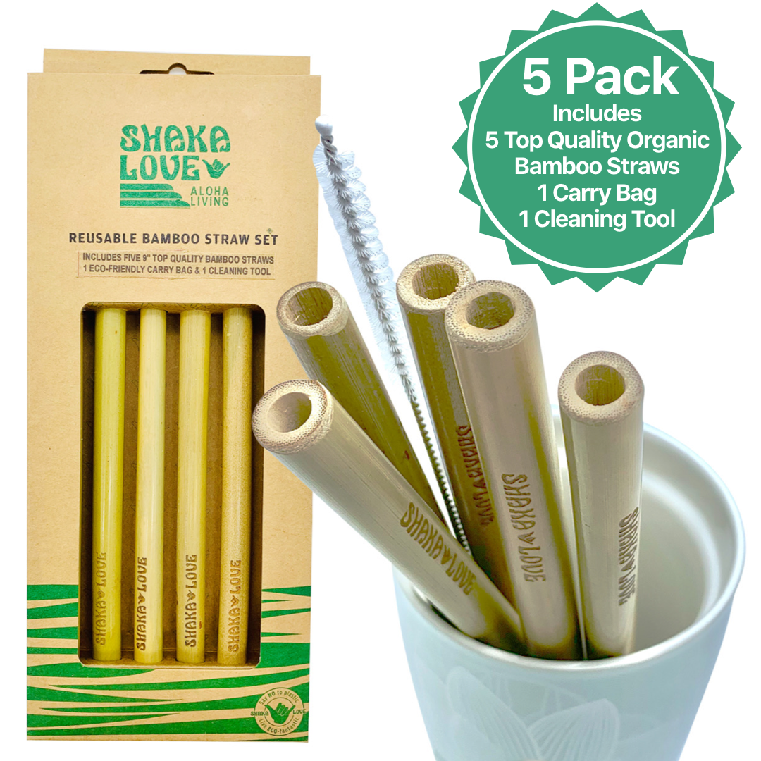 Bamboo Straw Set