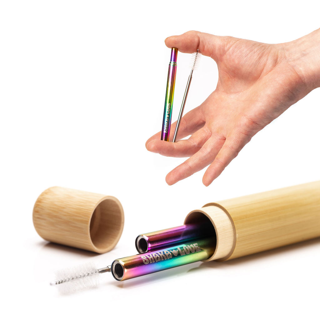 Stainless Steel Reusable Straw Set
