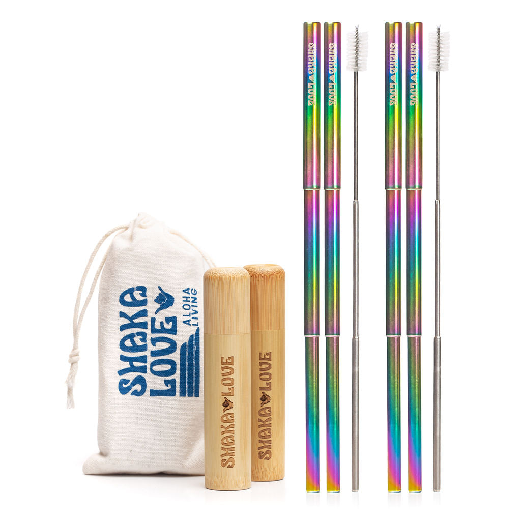 Stainless Steel Reusable Straw Set